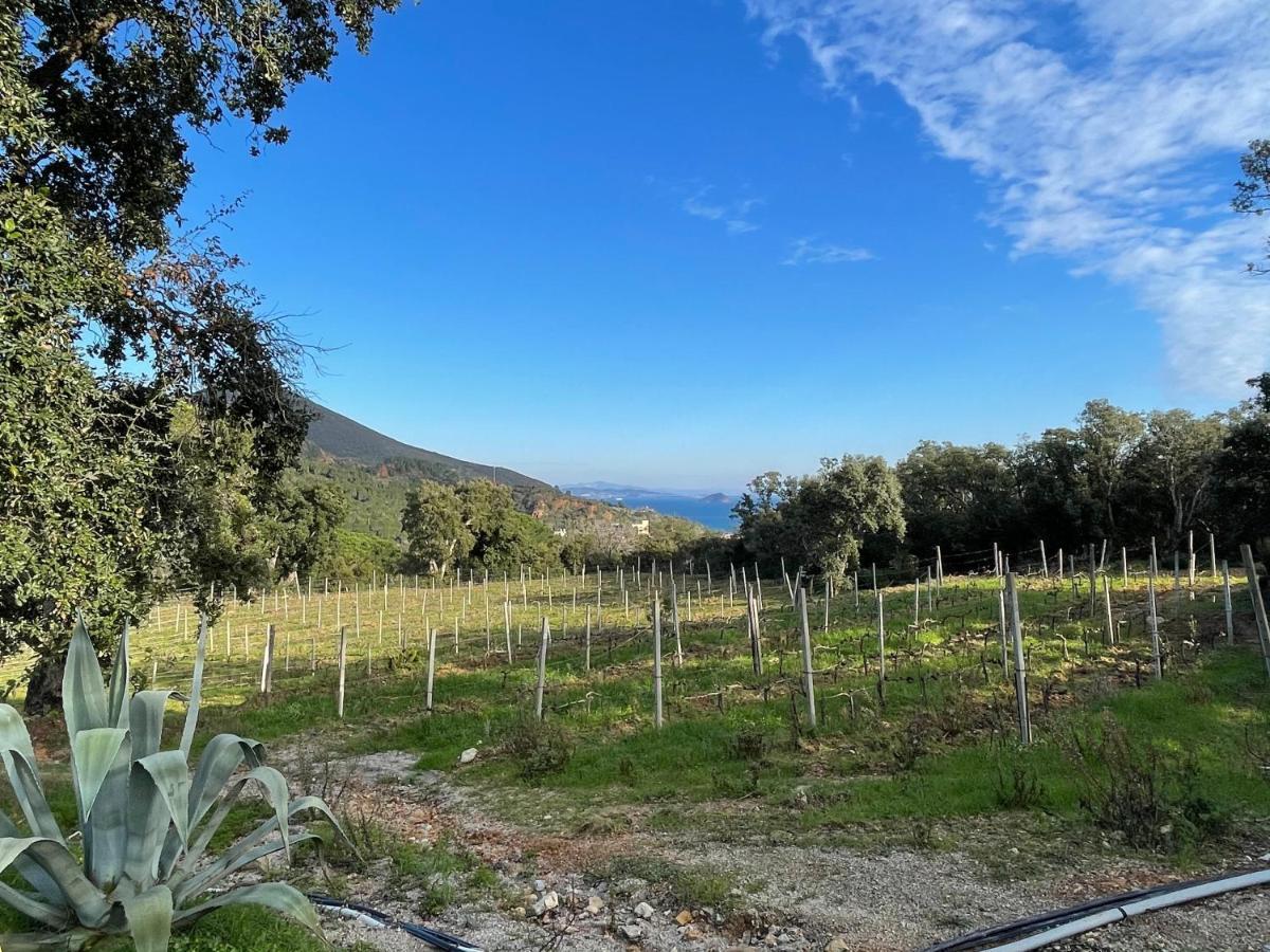 Agriturismo Le Sughere Rio Marina Dış mekan fotoğraf